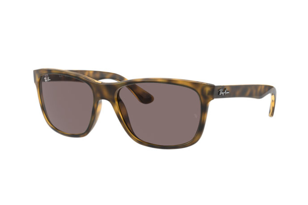 Lunettes de soleil Homme Ray-Ban  RB 4181 710/7N