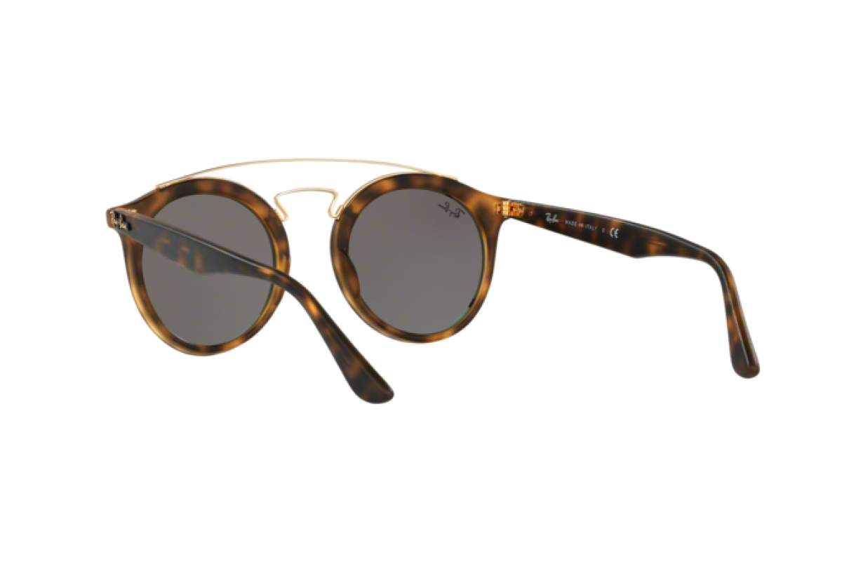 Occhiali da sole Unisex Ray-Ban New Gatsby I RB 4256 60923R