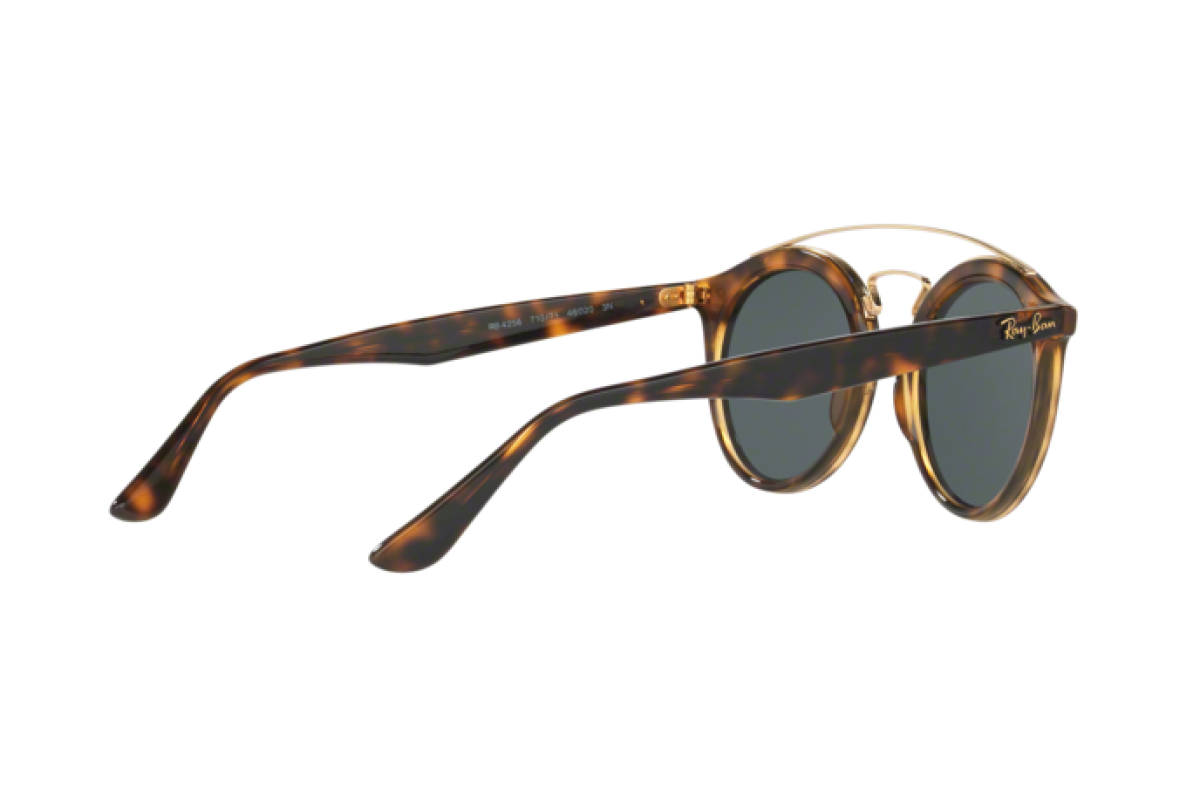 Sunglasses Unisex Ray-Ban New Gatsby I RB 4256 710/71