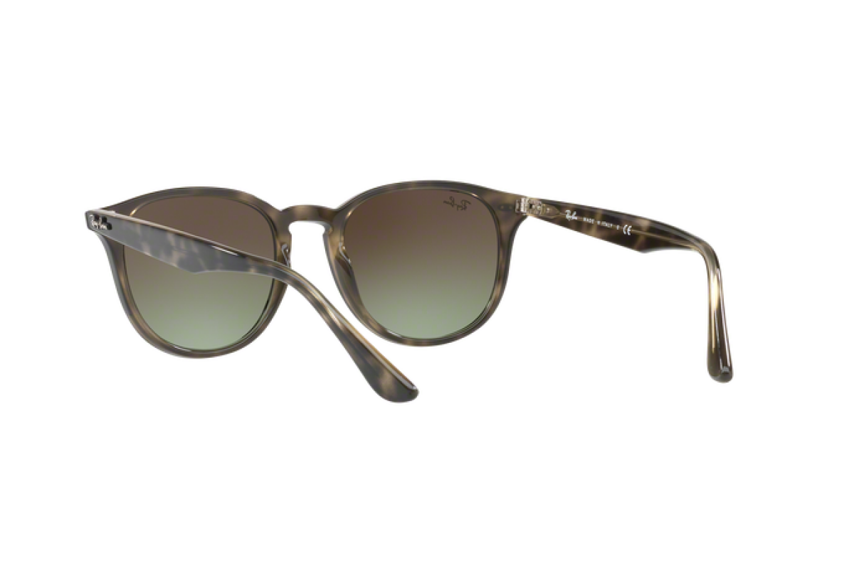 Sunglasses Unisex Ray-Ban  RB 4259 731/E8