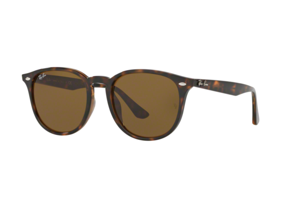 Occhiali da sole Unisex Ray-Ban  RB 4259F 710/73