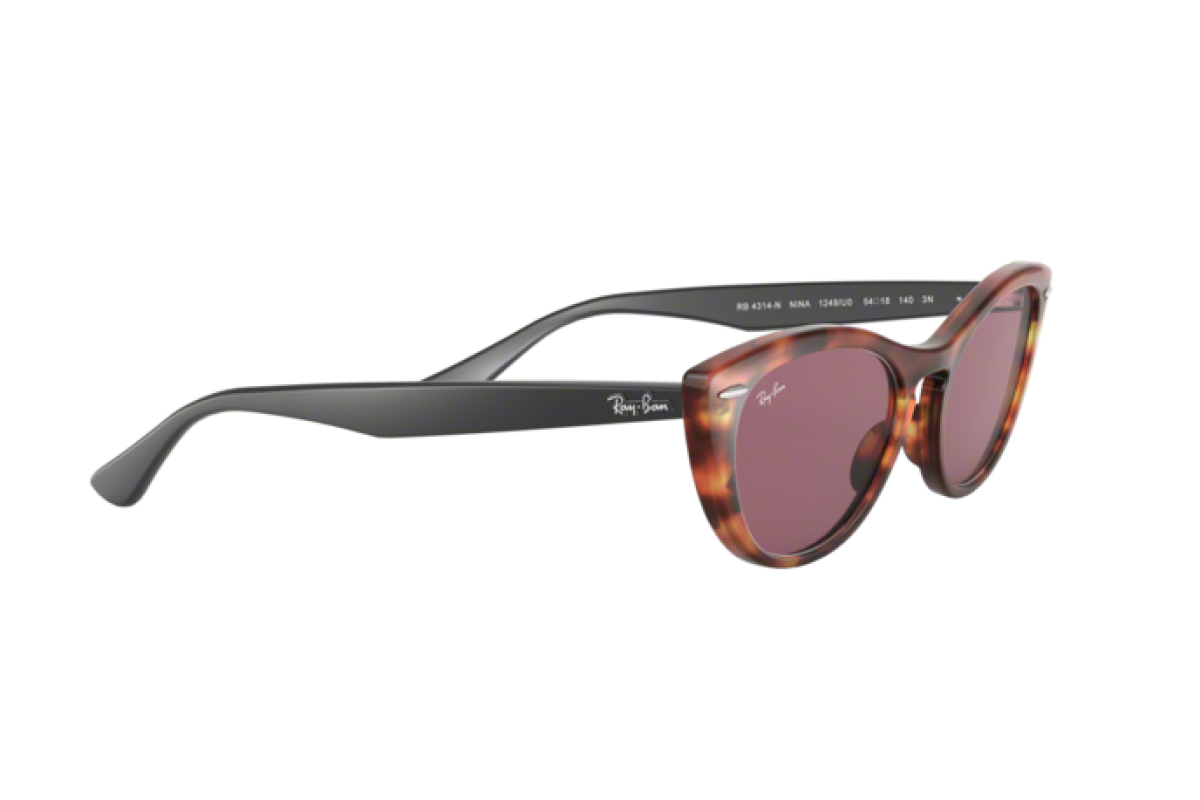 Sonnenbrillen Frau Ray-Ban Nina RB 4314N 1249U0