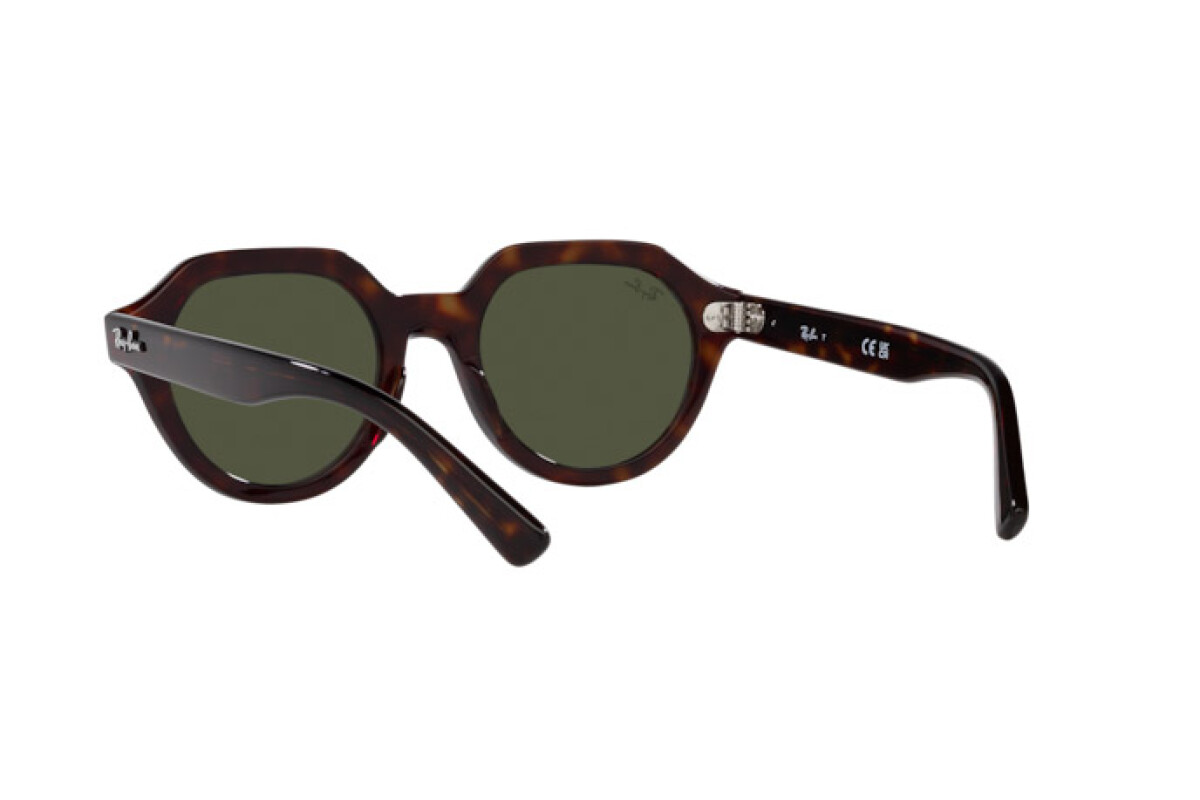 Zonnebrillen Unisex Ray-Ban Gina RB 4399 902/31