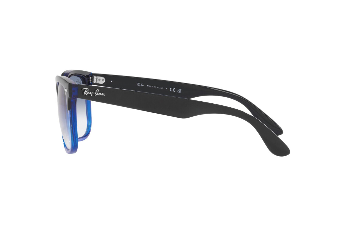 Sunglasses Unisex Ray-Ban Steve RB 4487 663219