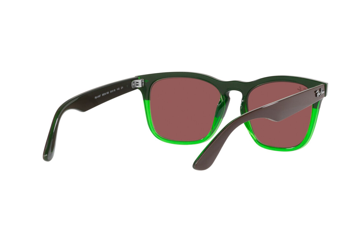 Occhiali da sole Unisex Ray-Ban Steve RB 4487 663469