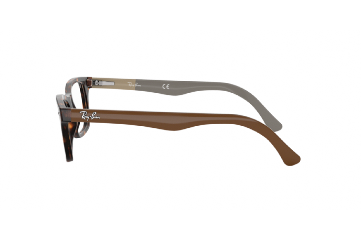 Eyeglasses Unisex Ray-Ban  RX 5228 5545