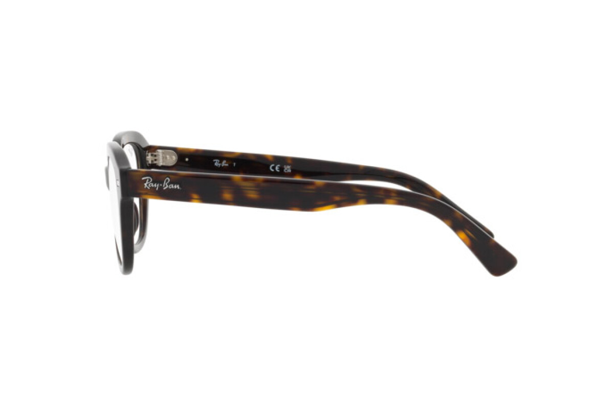 Lunettes de vue Unisexe Ray-Ban Erik RX 7215 2012