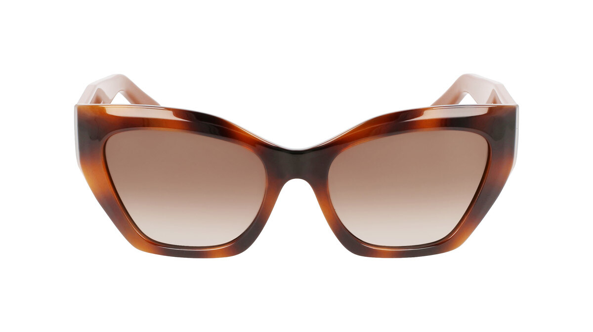 Lunettes de soleil Femme Salvatore Ferragamo  SF1043S 238