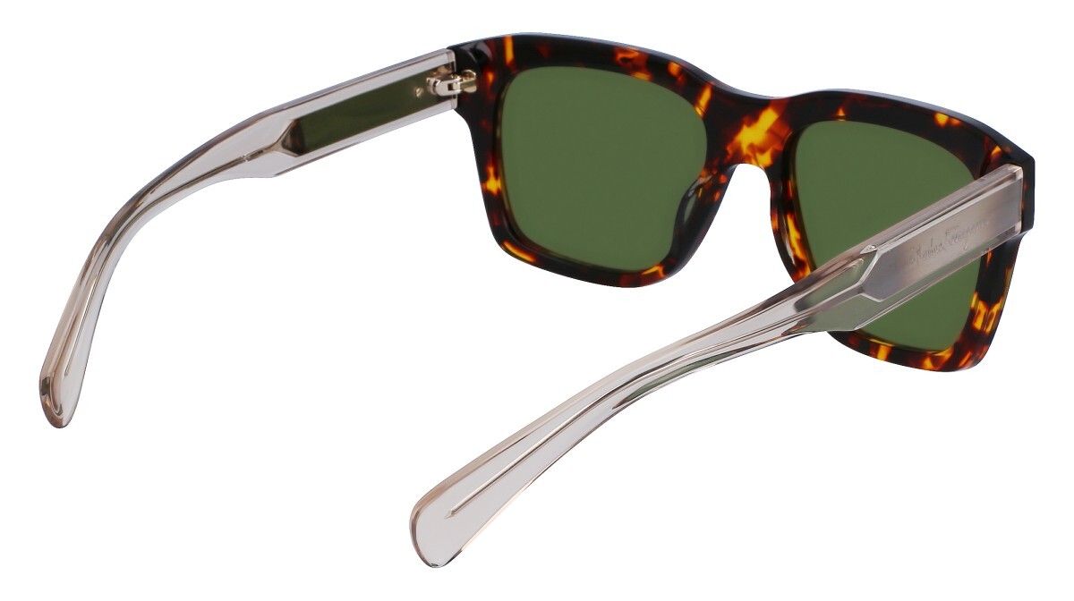 Zonnebrillen Man Salvatore Ferragamo  SF1087S 219