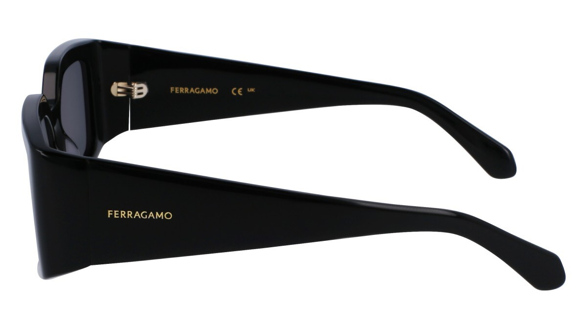 Sunglasses Woman Salvatore Ferragamo  SF1101S 001