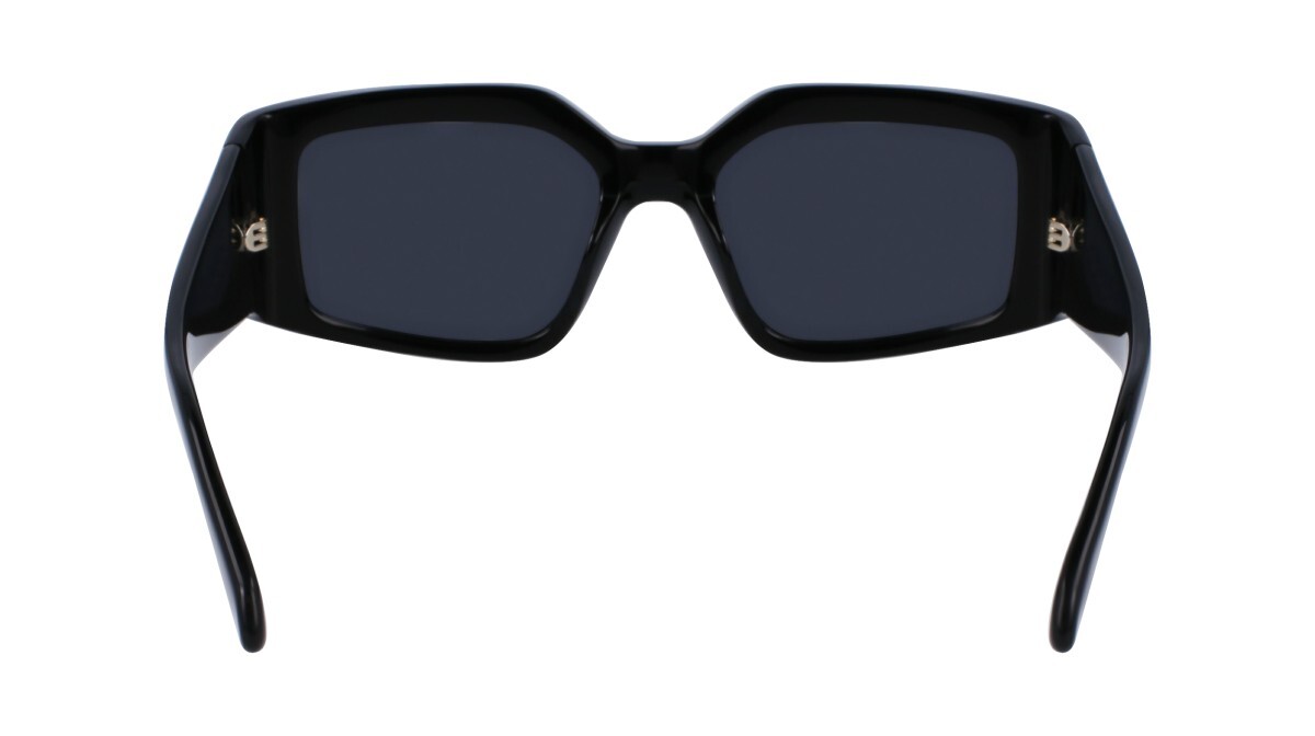 Sunglasses Woman Salvatore Ferragamo  SF1101S 001