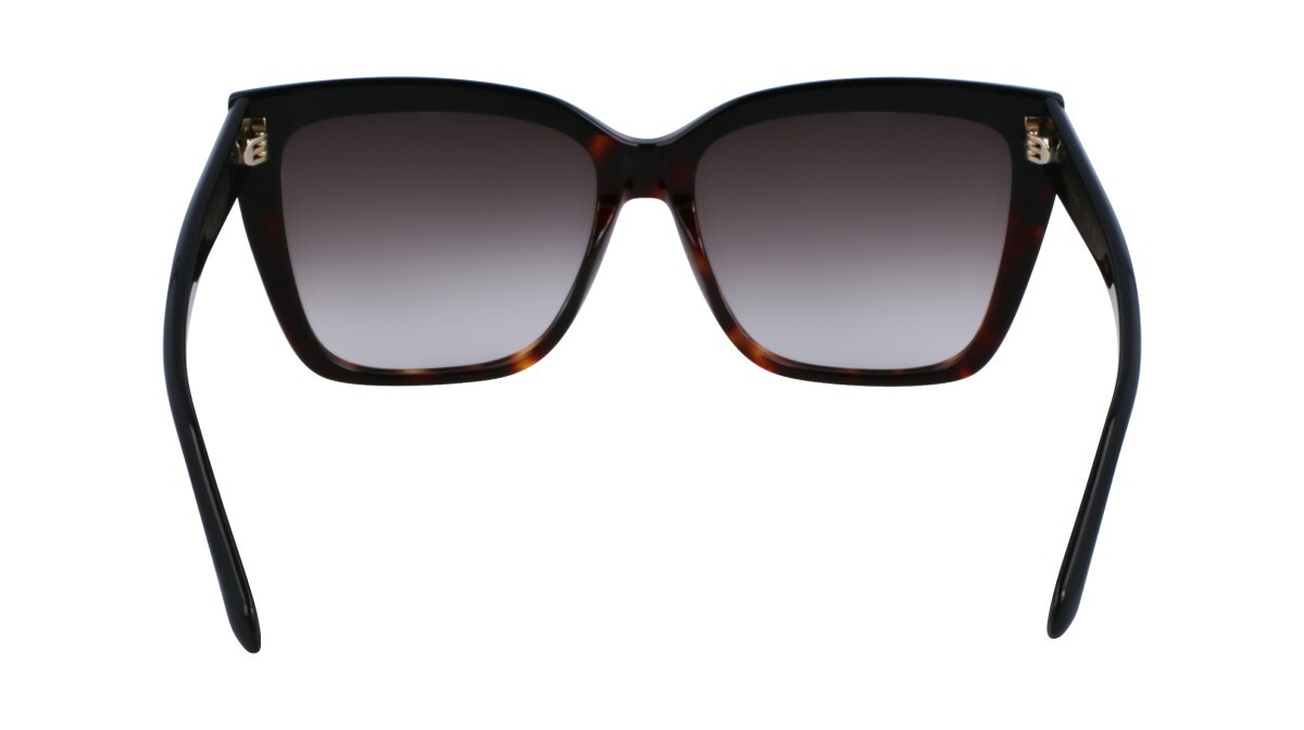 Sunglasses Woman Salvatore Ferragamo  SF1102S 006