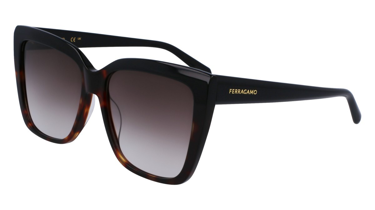 Sunglasses Woman Salvatore Ferragamo  SF1102S 006
