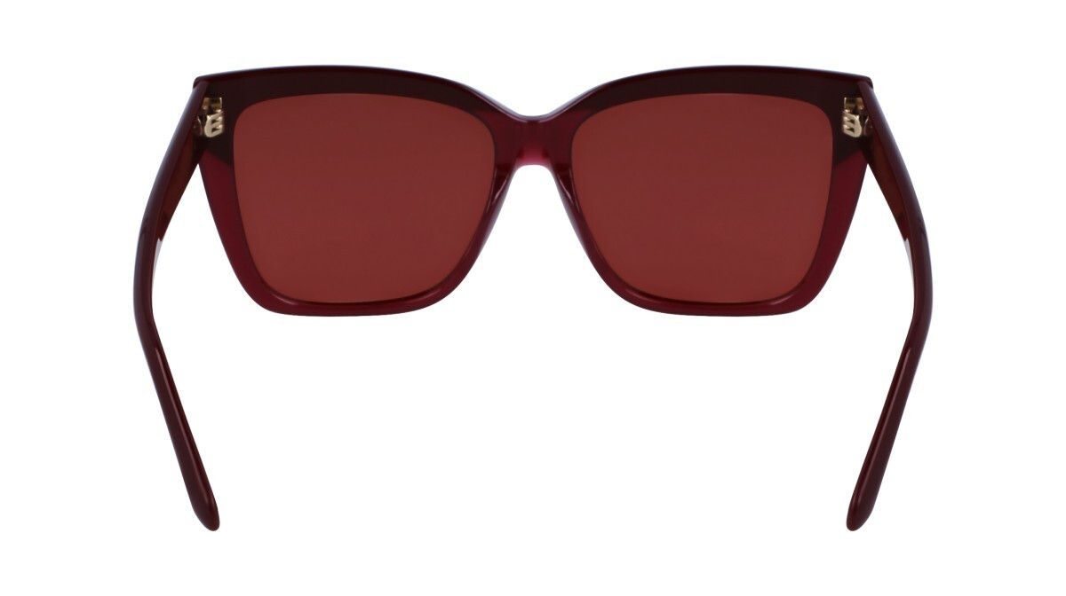 Sunglasses Woman Salvatore Ferragamo  SF1102S 606