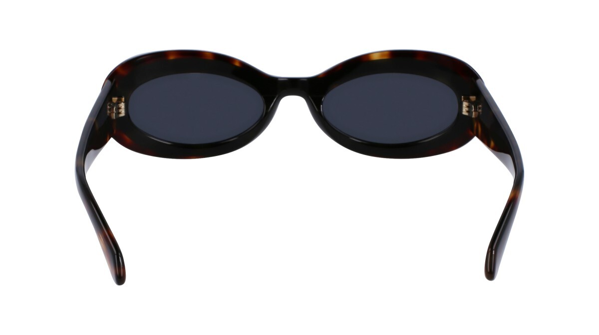 Sunglasses Woman Salvatore Ferragamo  SF2003S 241