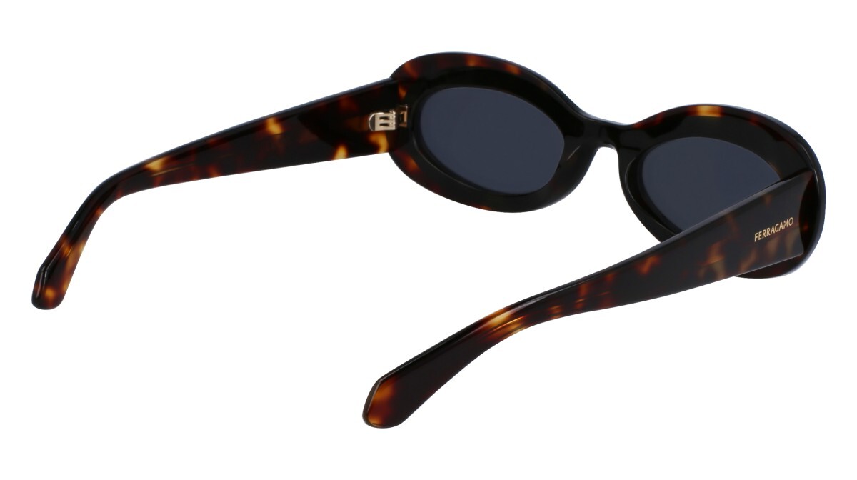 Sunglasses Woman Salvatore Ferragamo  SF2003S 241