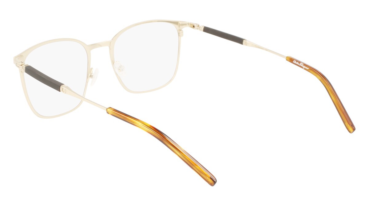 Lunettes de vue Homme Salvatore Ferragamo  SF2566 723