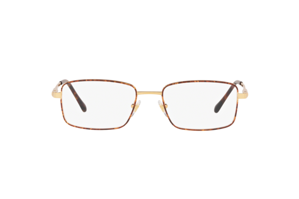 Eyeglasses Man Sferoflex  SF 2271 S710