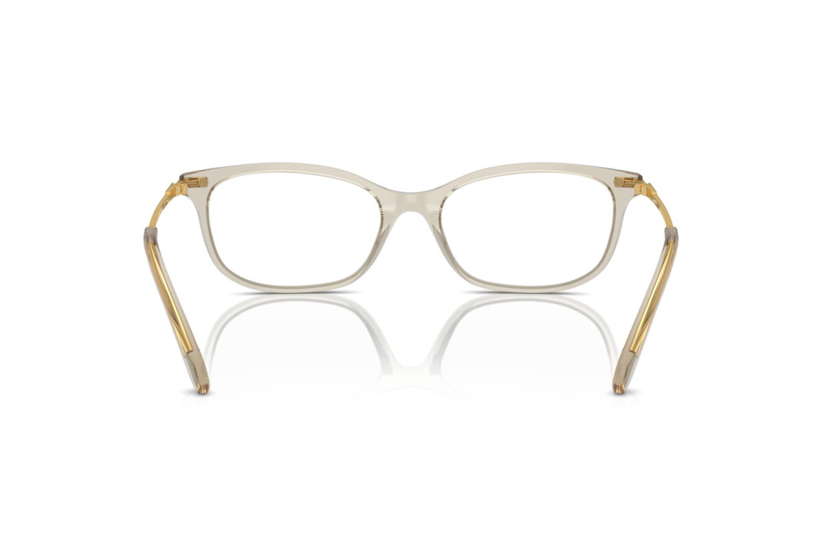 Eyeglasses Woman Swarovski  SK 2017 3003