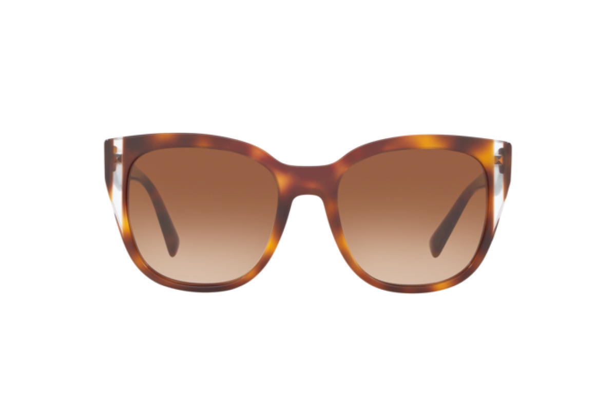 Sunglasses Woman Valentino  VA 4040 501113