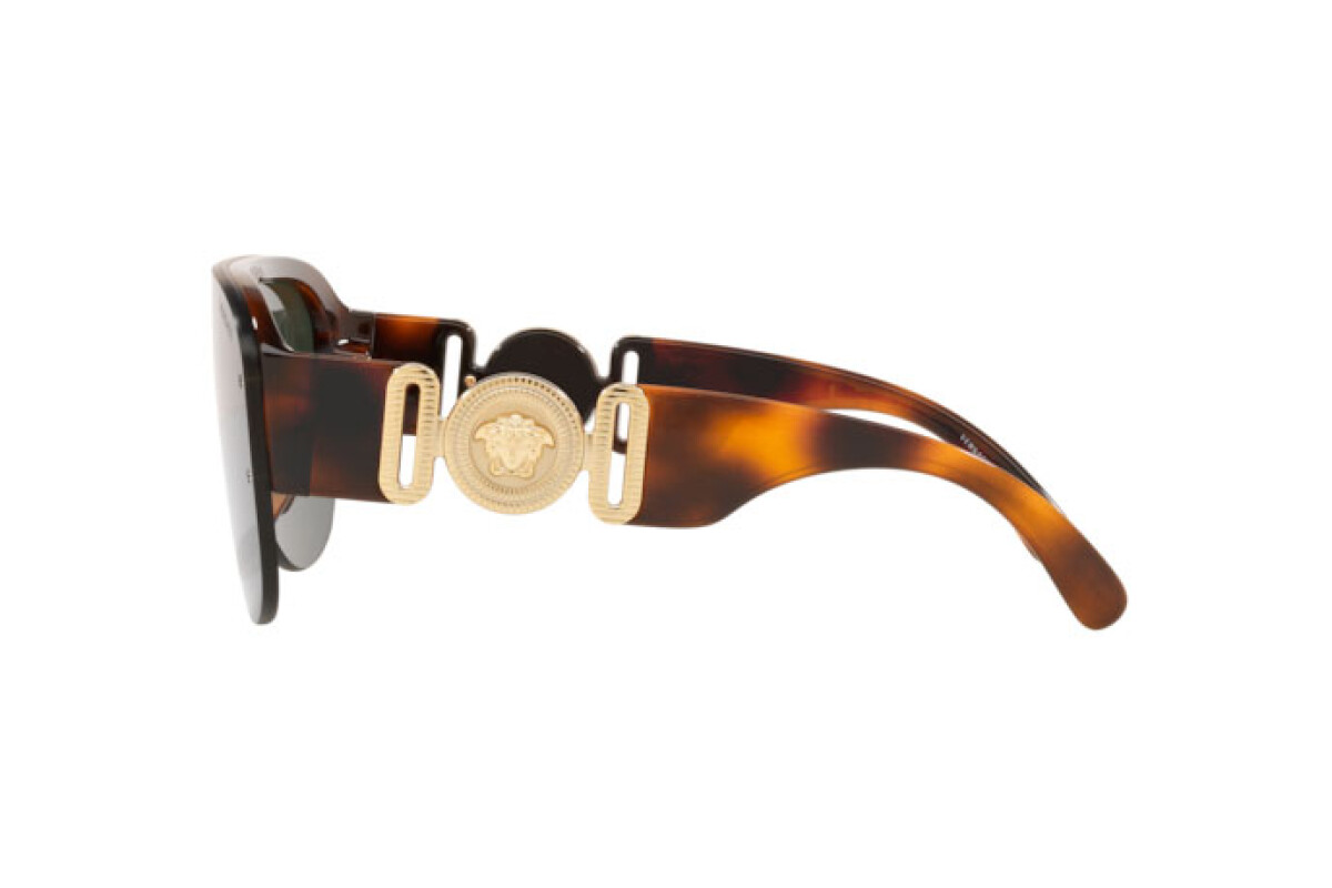 Sunglasses Man Versace  VE 4391 531771