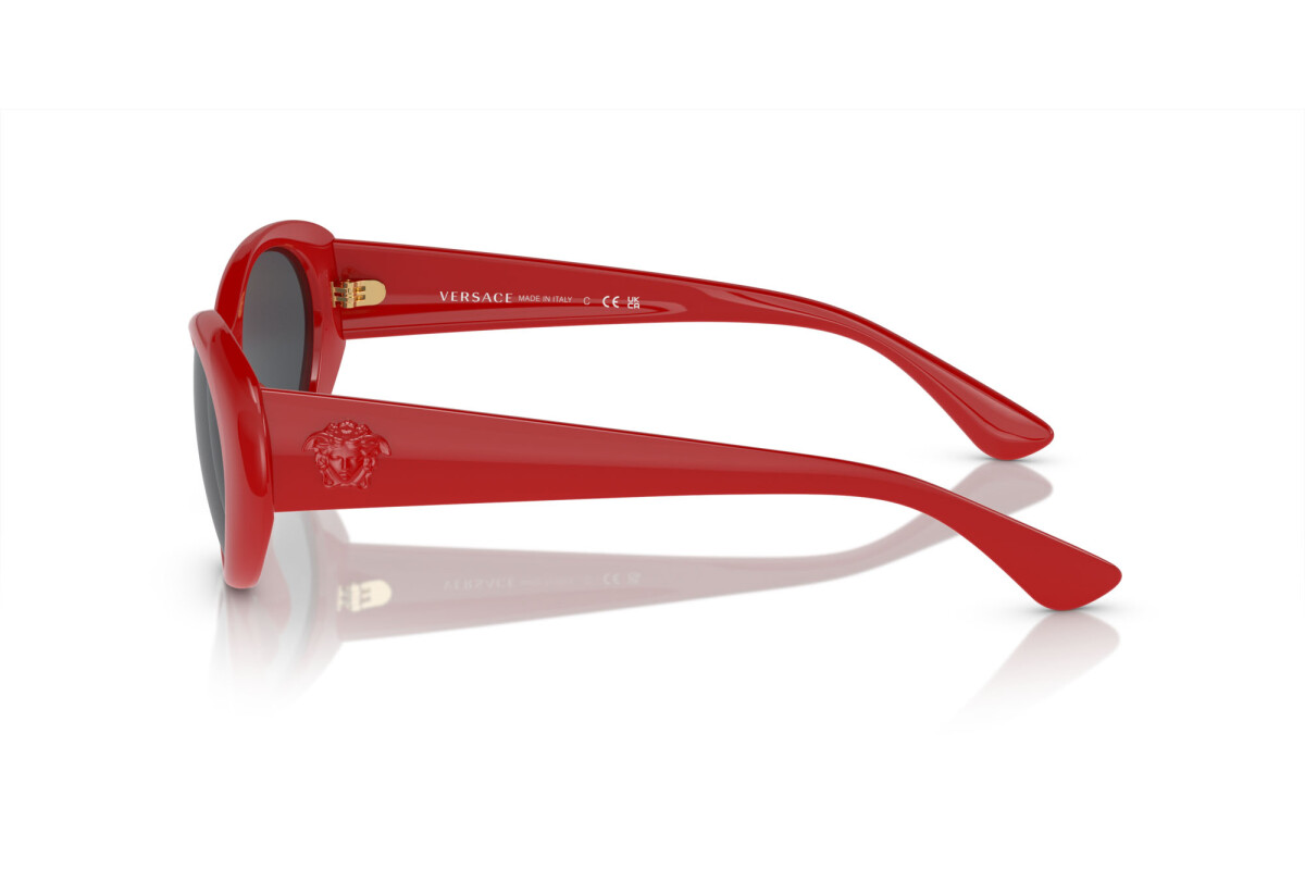 Sunglasses Woman Versace  VE 4455U 534487