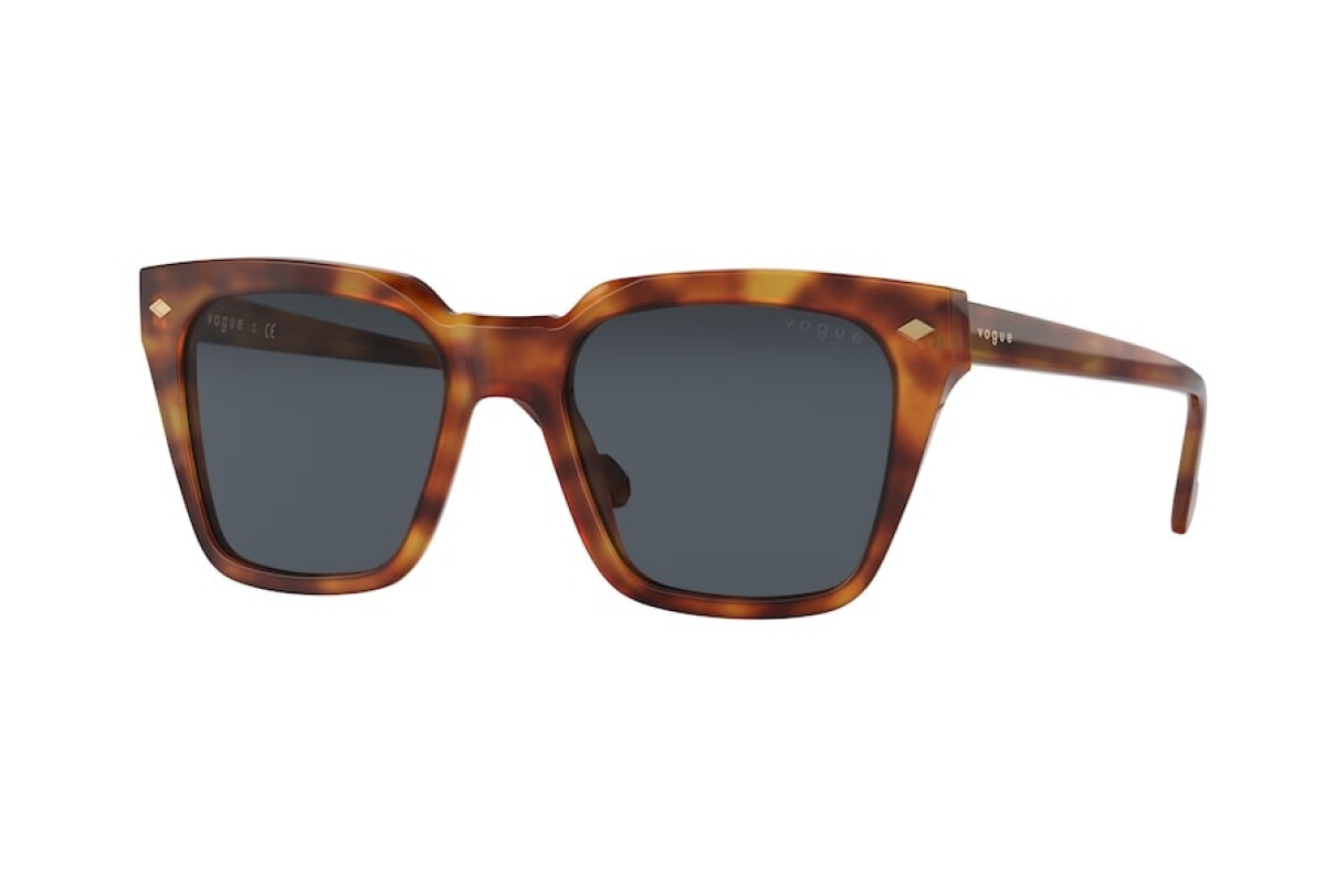 Sunglasses Man Vogue  VO 5380S 279287