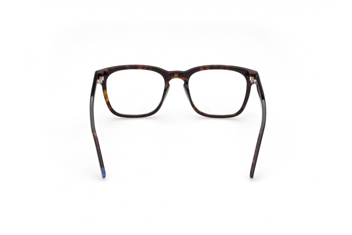 Eyeglasses Man Web  WE5372 052