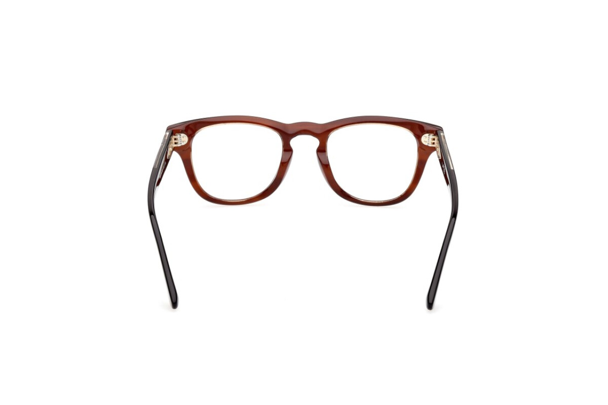 Lunettes de vue Unisexe Web  WE5384 050