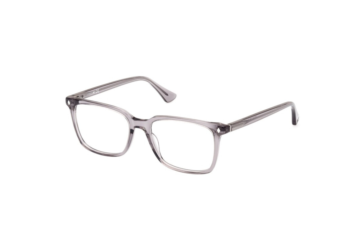 Eyeglasses Man Web  WE5401 020