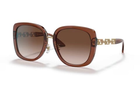 Sunglasses Versace VE 4407D (532413)
