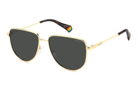 Sunglasses Polaroid PLD 6196/S/X 205698 (J5G M9)