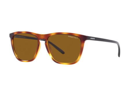 Sunglasses Arnette Fry AN 4301 (277083)