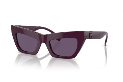 Sunglasses Burberry BE 4405 (34001A)