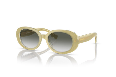 Sunglasses Burberry JB 4339 (39628E)