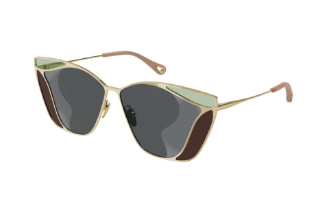 Sunglasses Chloé CH0049S-002