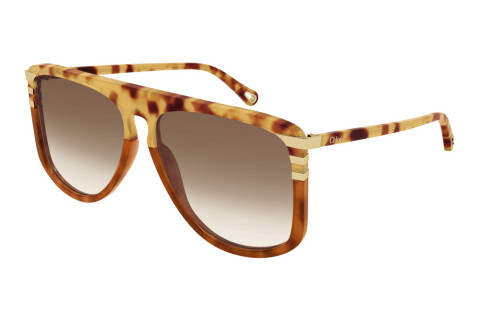 Sunglasses Chloé CH0104S-005