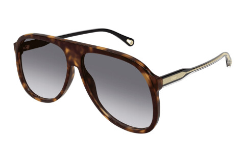 Sonnenbrille Chloé CH0128S-002