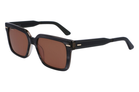Солнцезащитные очки Calvin Klein CK22535S (023)