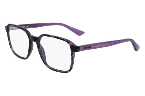 Eyeglasses Calvin Klein CK23524 (528)