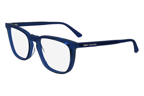 Brille Calvin Klein CK24519 (439)