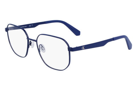 Brille Calvin Klein Jeans CKJ23222 (400)