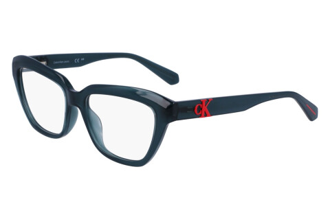 Brille Calvin Klein Jeans CKJ23644 (460)