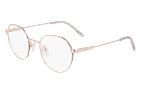 Brille Dkny DK1032 (770)