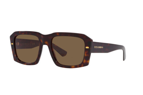 Солнцезащитные очки Dolce & Gabbana DG 4430 (502/73)