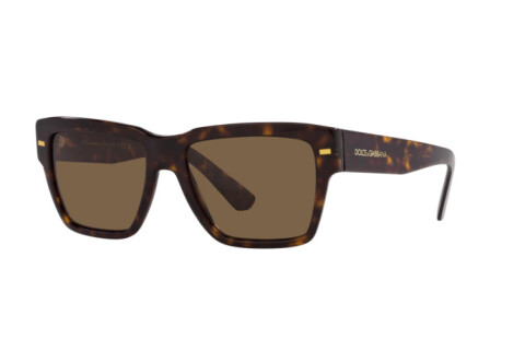 Солнцезащитные очки Dolce & Gabbana DG 4431 (502/73)