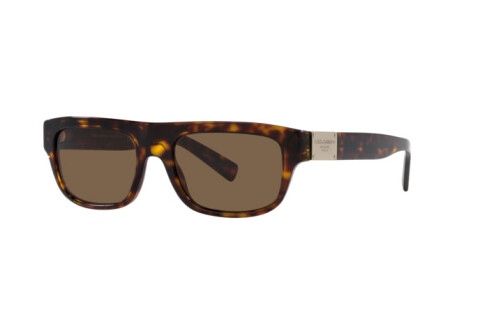 Sunglasses Dolce & Gabbana DG 4432 (502/73)