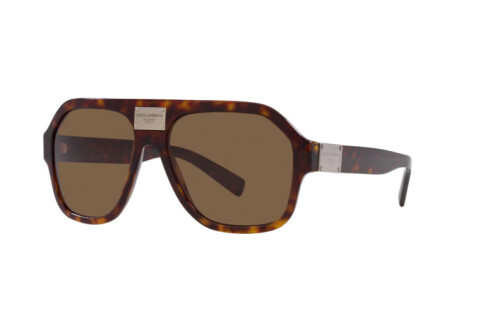 Солнцезащитные очки Dolce & Gabbana DG 4433 (502/73)