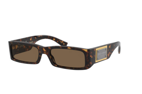 Солнцезащитные очки Dolce & Gabbana DG 4444 (502/73)