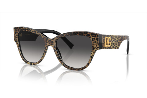 Sunglasses Dolce & Gabbana DG 4449 (31638G)